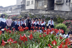 沅陵县鹤鸣山小学：把课堂搬进自然，让科学触手可及