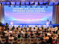 2026年湖南（怀化）RCEP经贸投资暨“湖南好物走世界”外贸特色产业供需对接会举行