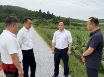 桂阳县：李志强调研重点项目（以工代赈项目）建设及防汛备汛工作