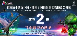 玩转郴州矿博会！攻略来了，请查收