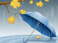 多地将有暴雨、强对流天气 中国气象局启动Ⅳ级应急响应