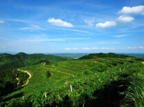 Five Villages of Hunan Recognized Under FAO Global Initiative