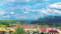 王跃文：忍冬居琐记|湘江副刊·湘韵