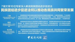 民族团结进步促进法何以推动各民族共同繁荣发展