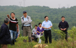 国家重点研发计划项目专家组到新田开展困难立地植被修复调研