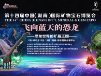 直击第十四届郴州矿博会｜恐龙、宝石、盲盒…带你3分钟看懂“必看和必买”