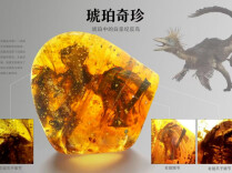 最全逛展指南！第十四届矿博会5月15日盛大启幕