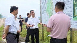 冷亮调研全域土地综合整治并督导安全生产等工作