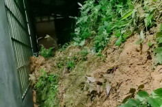 暴雨来袭！茶陵县紧急转移群众保安全