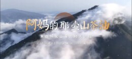 《阿妈的那壶山茶油》——怀化山茶油有专属主题歌曲啦！