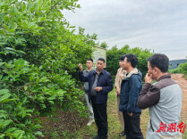 永州职业技术学院科技服务团赴江西余干、怀化溆浦开展油茶产业精准技术服务