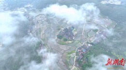 【大美鹤城】 鹤城区：雨后云雾漫山野  田园初夏入画来