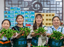 Chili Pepper Turns into Cash Cow in Xiangying County