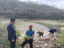 新田：深入调研“把脉问诊”，精准施策为民谋利