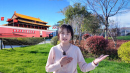 青春的答案