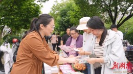 赶场普法送服务 妇联宣传暖人心
