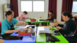 石门所街乡：老校舍 “活” 起来，假发产业富乡亲