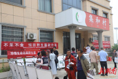 野生蘑菇中毒高发季！娄底疾控这么做 