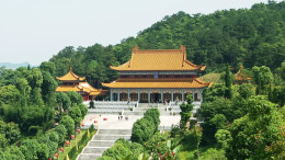 湖南多景区宣布：免费！半价！
