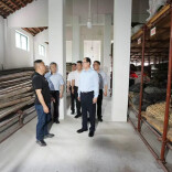 全省进入降雨集中期，毛伟明赴益阳检查防汛备汛