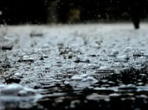 双预警齐发！中央气象台发布暴雨、大雾黄色预警