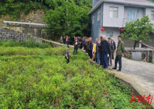永顺县万民乡：授技赋能 助残增收​