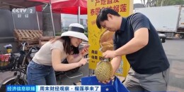 价格下跌40% 新榴莲美食丰富夏日消费新业态