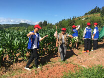 护鸟助农两相宜！炎陵环保志愿者行动绘就生态和谐画卷