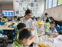 桃江县桃花江小学研学实践活动圆满举行