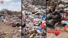 多处乡村河道农田沦为垃圾堆场！央视曝光多地垃圾处置乱象