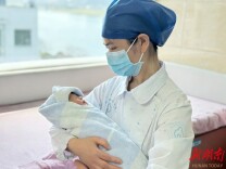 护士工位定格照｜（59）掌心轻托初生，温柔守护柔弱