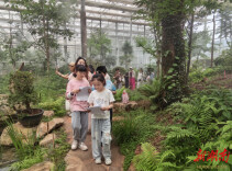 何家坳小学赴省植物园开展亲子劳动实践活动