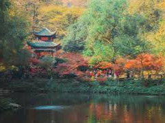 三湘时评丨让游客的每一次出发都更加安心放心舒心
