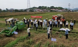 湖南农业大学在浏阳举办油菜机收减损装备演示活动