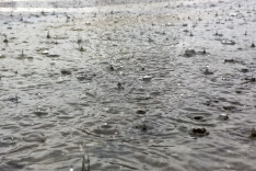 湖南317个乡镇累计雨量超50毫米，20日降雨集中在湘南