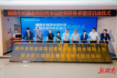 国内首款“按结局付费”辅助生殖保险落地湖南，未成功妊娠可获全额赔付