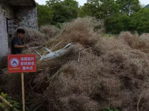 衡南县铁丝塘镇：疏堵并举 全链利用 走出秸秆综合利用新路径