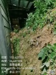 迅速转移！茶陵县湖口镇小潭村成功处置险情