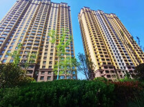 有力有序推进现房销售 实现住房“所见即所得”