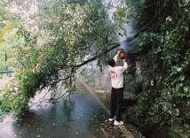 湘西税务：驻村抢险“汛”速出击 风雨同舟“湘”守平安