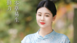 花易凋，草易生｜岁月如诗