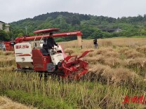 衡南：秸秆归田润沃土 变废为宝探新途