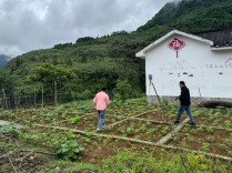 从办税大厅到防汛一线