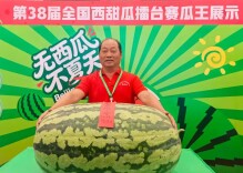 重达159.5斤！全国西甜瓜擂台赛“瓜王”揭晓