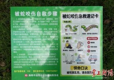 虎形山“蛇出没”引关注，后续如何？
