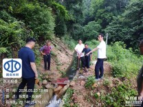 闻“汛”而动！临澧各单位快速响应，全力筑牢汛期安全防线
