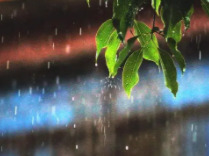 淋完雨竟进了ICU？医生紧急提醒：这三步不能省！