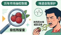 湘守食安│杨梅违规添加检出率低 理性看待药水浸泡风险