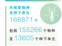 《中国生物物种名录2026版》新增6154个物种及种下单元