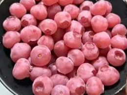 全网刷屏的“粉色蓝莓”是真的吗？记者探访